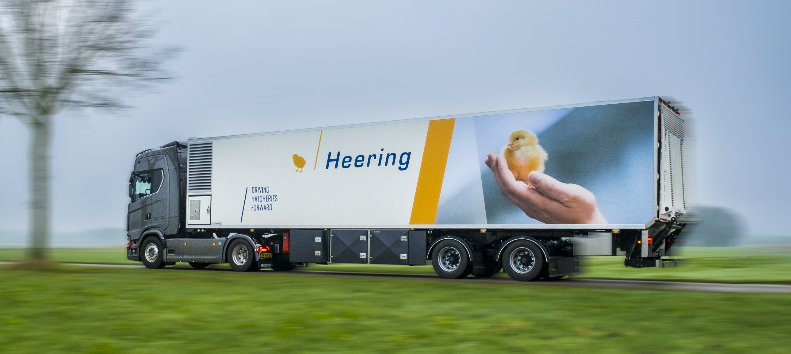 Heering trailer with a day-old chick on the livery, driving on the highway